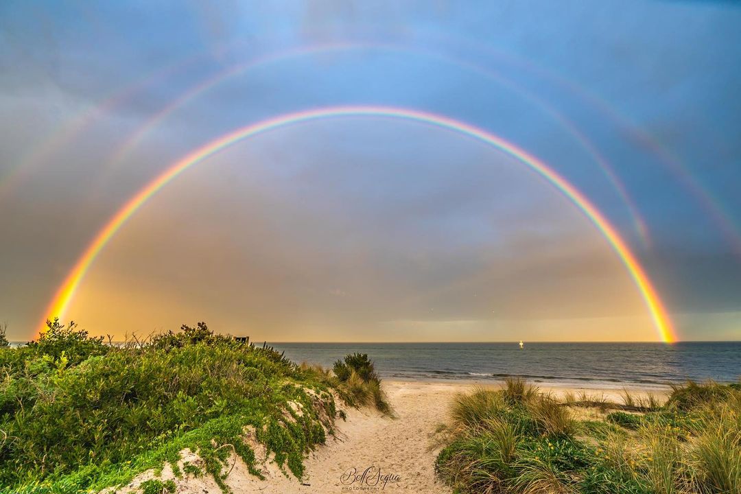 Australian rainbows turned it on in 2021